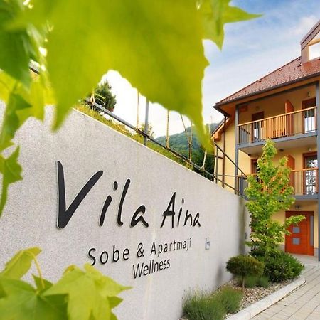 Villa Aina Boutique Hotel Laško Buitenkant foto