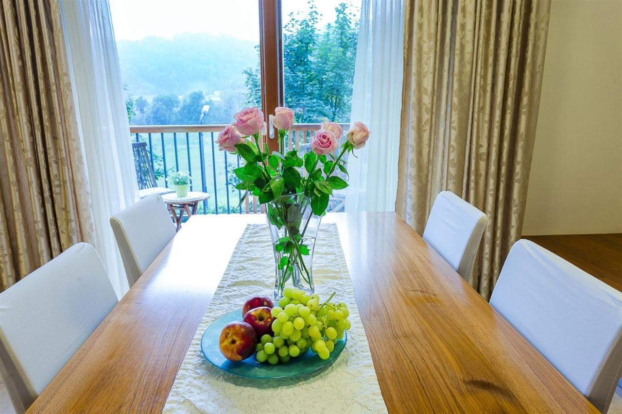 Villa Aina Boutique Hotel Laško Buitenkant foto