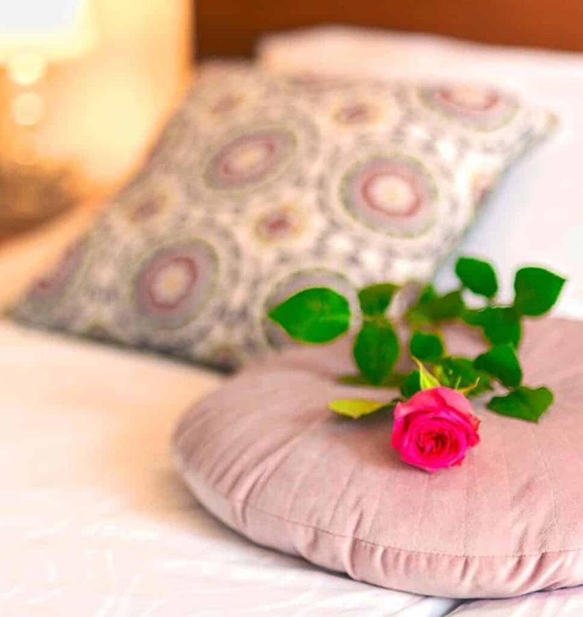 Villa Aina Boutique Hotel Laško Buitenkant foto
