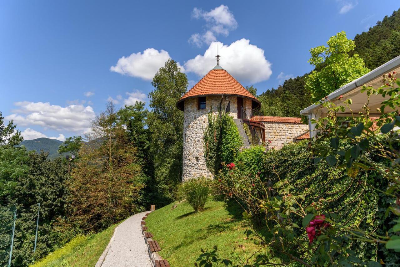 Villa Aina Boutique Hotel Laško Buitenkant foto