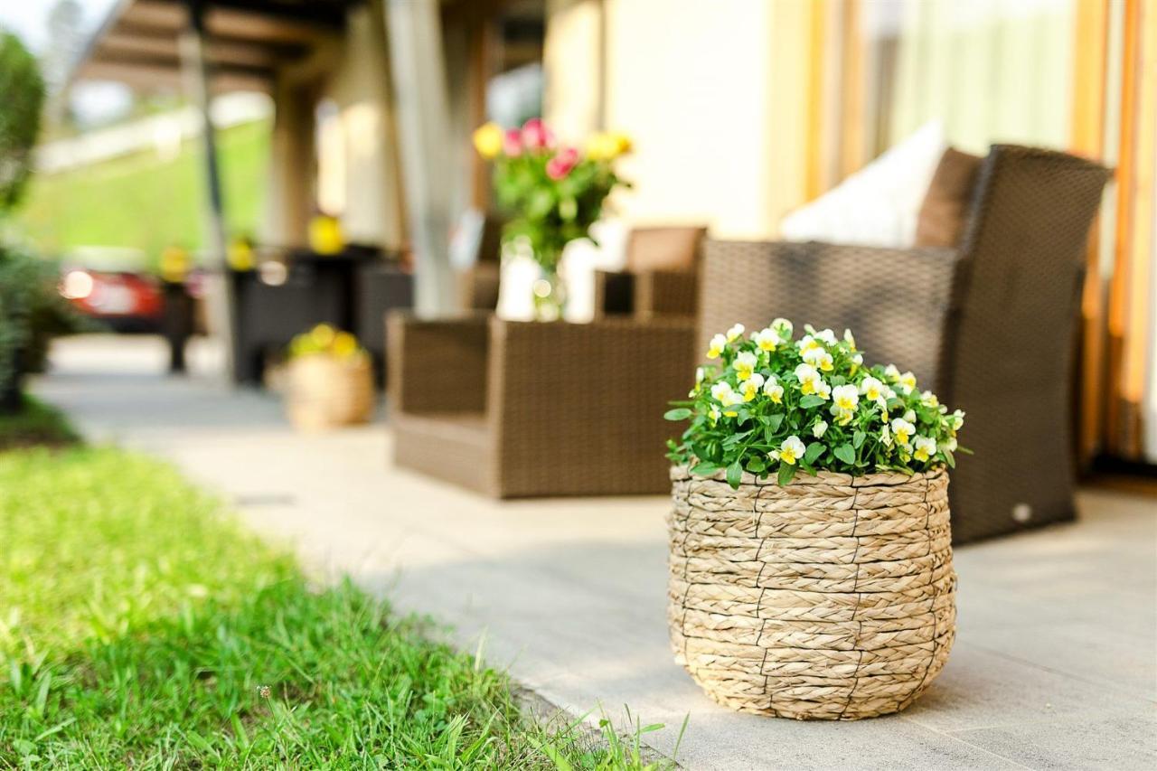 Villa Aina Boutique Hotel Laško Buitenkant foto